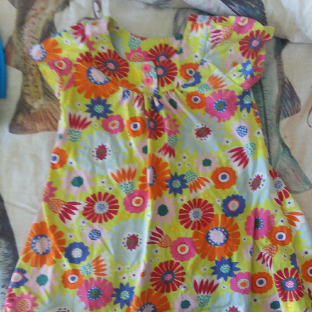Hanna Anderson  dress tunic